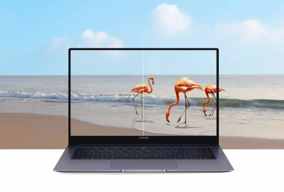 Ноутбук Honor MagicBook X14 2025 i5 13420H 16/1T (5301ANHC) Gray (Серый)