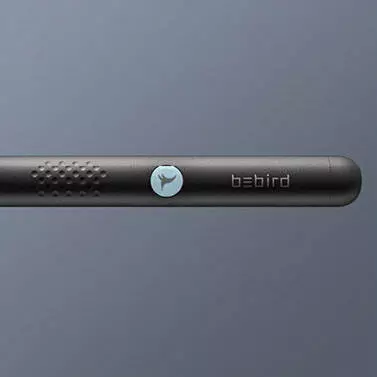 Умная ушная палочка Bebird Smart Visual Spoon Ear Stick R1+ Black (Черный) Умная ушная палочка Bebird Smart Visual Spoon Ear Stick R1+ Black (Черный)