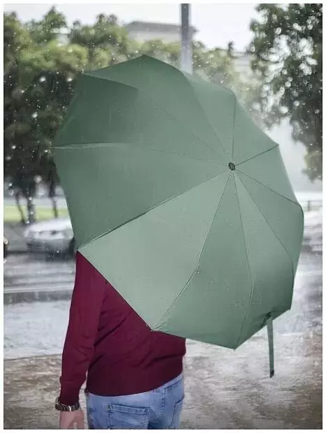 Зонт Zuodu Full Automatic Umbrella Led Green (Зеленый) Зонт Zuodu Full Automatic Umbrella Led Green (Зеленый)
