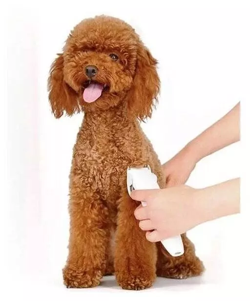 Триммер для животных Xiaomi Pawbby Pet Shaver (MG-HC001) White (Белый) Триммер для животных Xiaomi Pawbby Pet Shaver (MG-HC001) White (Белый)