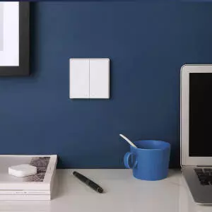 Выключатель беспроводной Aqara Wall Wireless Switch Double Key D1 (WXKG07LM) White (Белый) Выключатель беспроводной Aqara Wall Wireless Switch Double Key D1 (WXKG07LM) White (Белый)