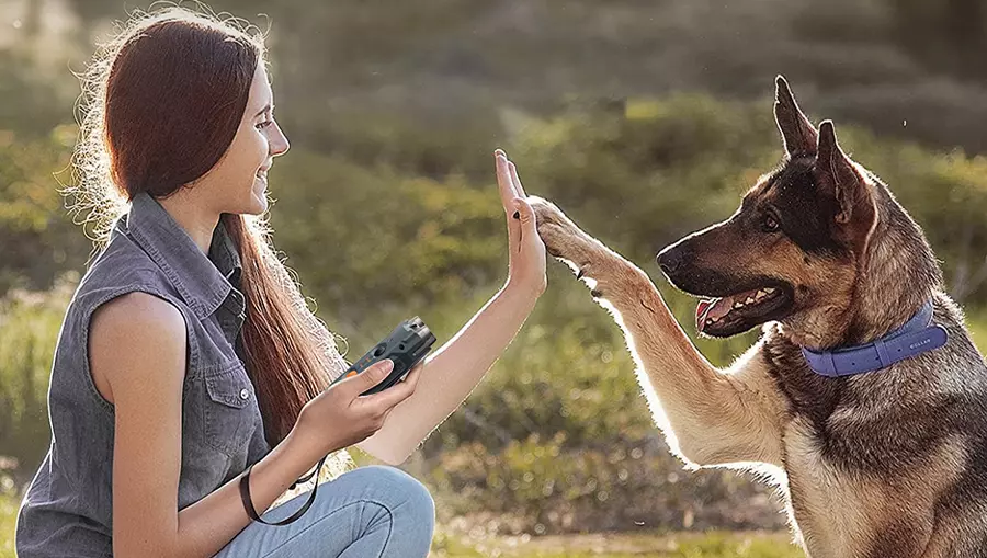 Отпугиватель собак ультразвуковой Xiaomi Rojeco U20 Ultrasonic Dog Repeller Dual Probe LED Gray (Серый) Отпугиватель собак ультразвуковой Xiaomi Rojeco U20 Ultrasonic Dog Repeller Dual Probe LED Gray (Серый)