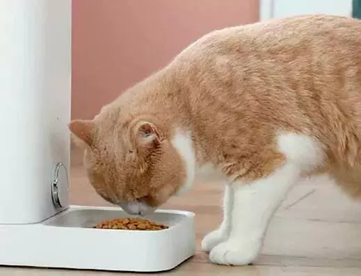 Автокормушка для животных Petkit Mini Smart Feeder Metal Edition 2.8 л (P530) White (Белый) CN Автокормушка для животных Petkit Mini Smart Feeder Metal Edition 2.8 л (P530) White (Белый) CN