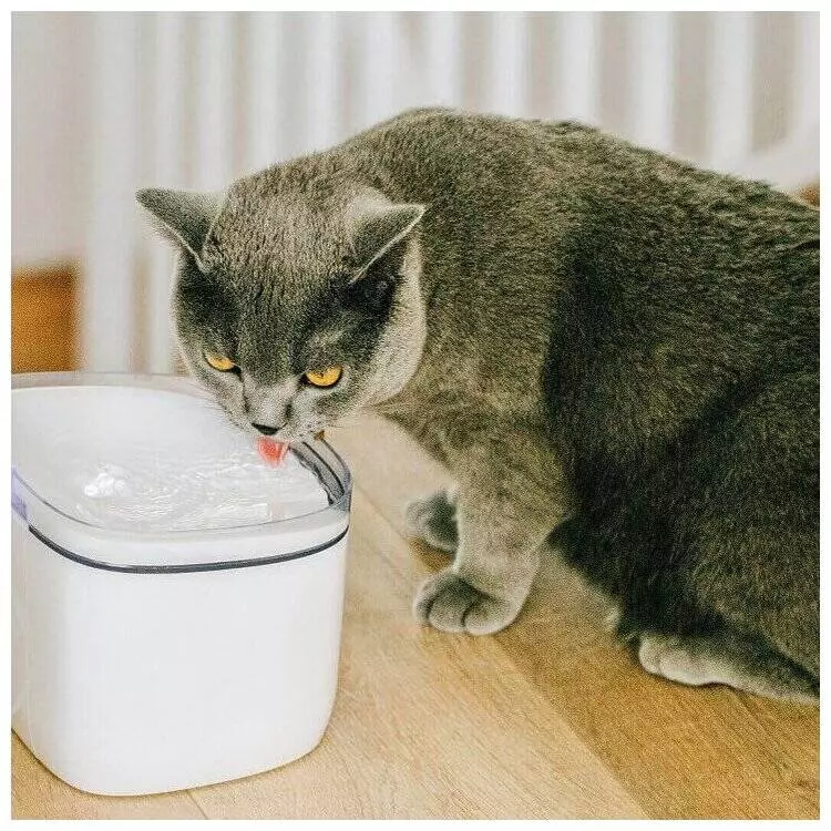 Автопоилка для животных Petoneer Fresco Mini Plus Fountain (WF004) White (Белый) Автопоилка для животных Petoneer Fresco Mini Plus Fountain (WF004) White (Белый)