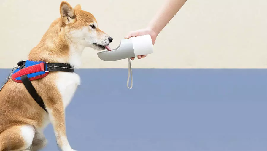 Поилка дорожная для животных Moestar Rocket Portable Pet Cup 430 мл (MS0010001) Gray (Серый) CN