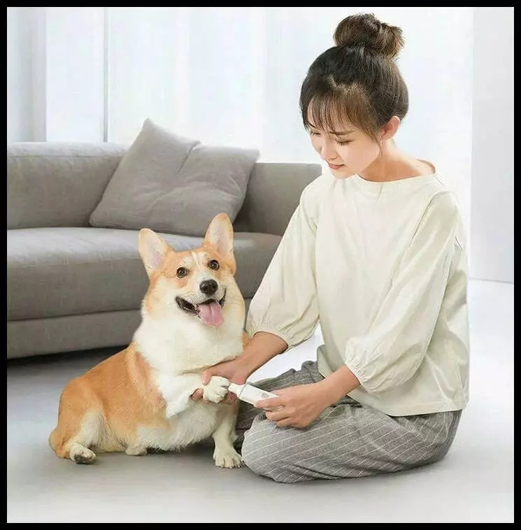 Триммер для когтей животных Xiaomi Pawbby Nail Sharpener MG-NG001 White (Белый) Триммер для когтей животных Xiaomi Pawbby Nail Sharpener MG-NG001 White (Белый)