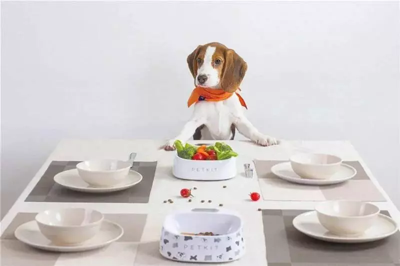 Миска-весы для животных Xiaomi PetKit Smart Weighing Bowl (P510) White (Белый) CN Миска-весы для животных Xiaomi PetKit Smart Weighing Bowl (P510) White (Белый) CN