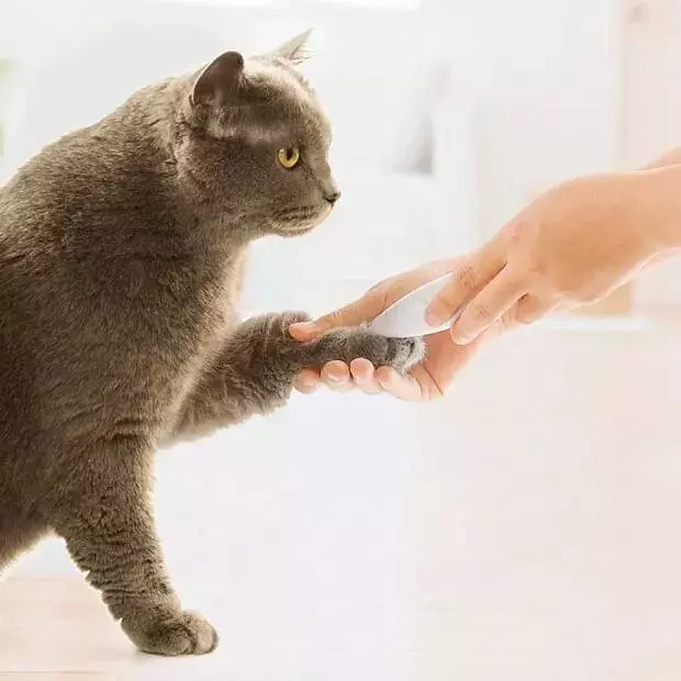 Триммер для животных Xiaomi Pawbby Pet Small Area Clippers White (Белый)