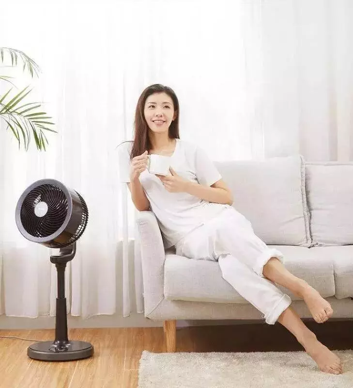 Напольный вентилятор Xiaomi Airmate Circulation Fan CA-23AD9 Black (Черный) Напольный вентилятор Xiaomi Airmate Circulation Fan CA-23AD9 Black (Черный)