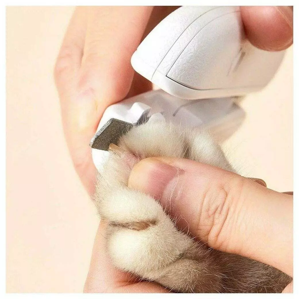 Машинка для стрижки когтей животным Petkit nail clippers White (Белый) Машинка для стрижки когтей животным Petkit nail clippers White (Белый)