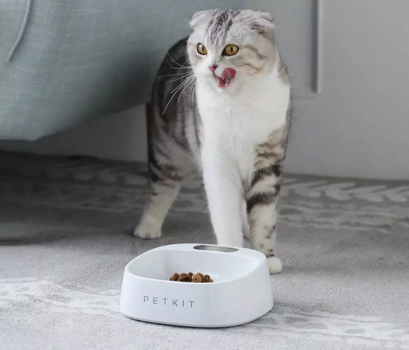 Миска-весы для животных Xiaomi PetKit Smart Weighing Bowl (P510) White (Белый) CN Миска-весы для животных Xiaomi PetKit Smart Weighing Bowl (P510) White (Белый) CN