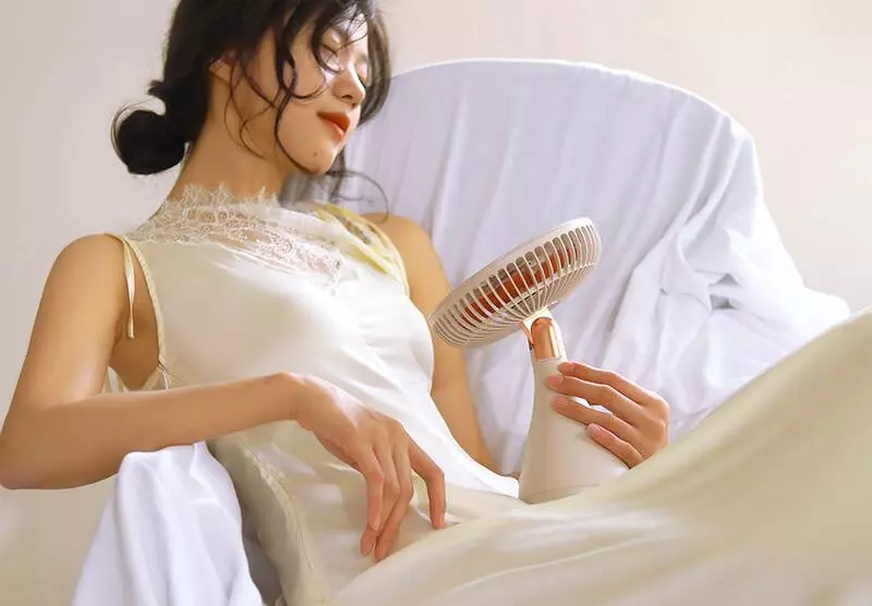 Настольный вентилятор Sothing Bridal Bouquet (версия без аккумулятора) (DSHJ-S-2113) Beige (Бежевый)