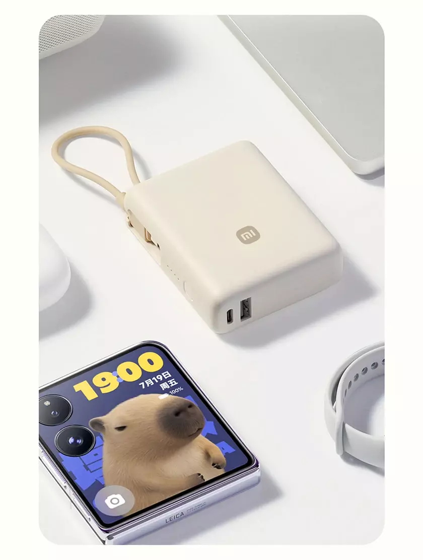 Внешний аккумулятор Xiaomi 33W Power Bank 10000mAh (PB1033MI) Beige (Бежевый) Внешний аккумулятор Xiaomi 33W Power Bank 10000mAh (PB1033MI) Beige (Бежевый)