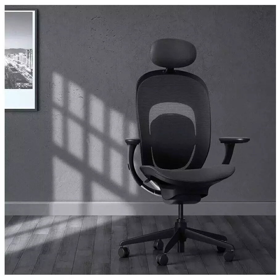 Кресло Xiaomi Yuemi YMI Ergonomic Chair (RTGXY01YM) Black (Черный)