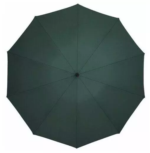 Зонт Zuodu Full Automatic Umbrella Led Green (Зеленый)