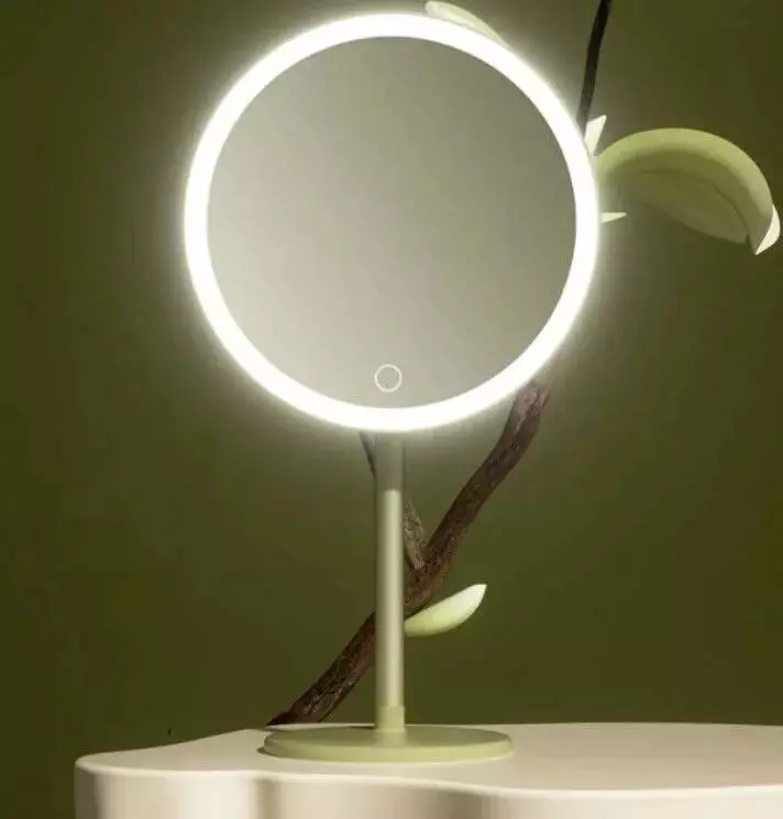 Зеркало для макияжа Xiaomi DOCO Daylight Mirror (DM006) Green (Зеленый) Зеркало для макияжа Xiaomi DOCO Daylight Mirror (DM006) Green (Зеленый)