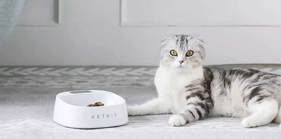 Миска-весы для животных Xiaomi PetKit Smart Weighing Bowl (P510) White (Белый) CN Миска-весы для животных Xiaomi PetKit Smart Weighing Bowl (P510) White (Белый) CN
