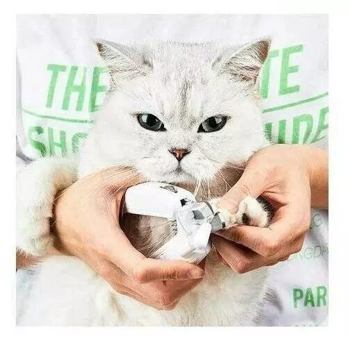 Машинка для стрижки когтей животным Petkit nail clippers White (Белый) Машинка для стрижки когтей животным Petkit nail clippers White (Белый)