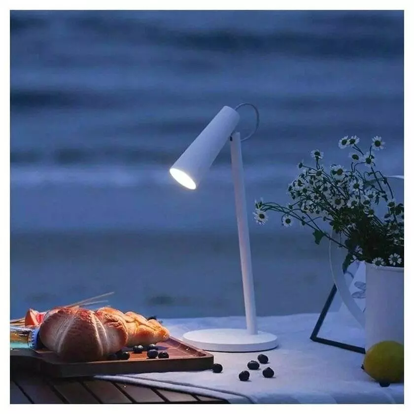 Настольная лампа Xiaomi Mijia Rechargeable LED Table Lamp (MJTD04YL) White (Белый) Настольная лампа Xiaomi Mijia Rechargeable LED Table Lamp (MJTD04YL) White (Белый)