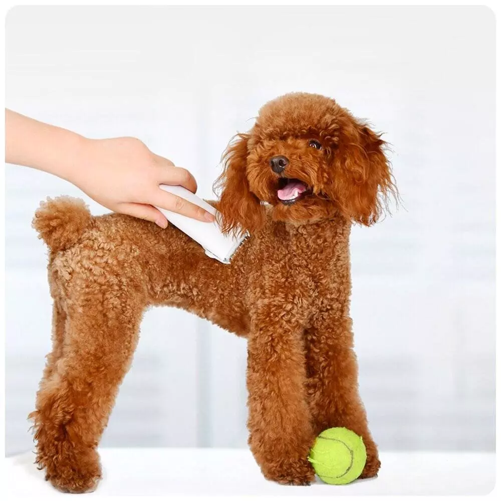 Триммер для животных Xiaomi Pawbby Pet Shaver (MG-HC001) White (Белый) Триммер для животных Xiaomi Pawbby Pet Shaver (MG-HC001) White (Белый)