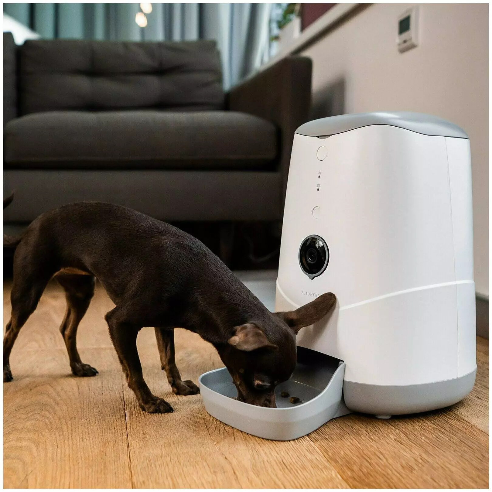 Автокормушка для животных Petoneer Nutri Vision Feeder с Wi-Fi и камерой 3.7 л (FDW020) White (Белый) Global Version Автокормушка для животных Petoneer Nutri Vision Feeder с Wi-Fi и камерой 3.7 л (FDW020) White (Белый) Global Version