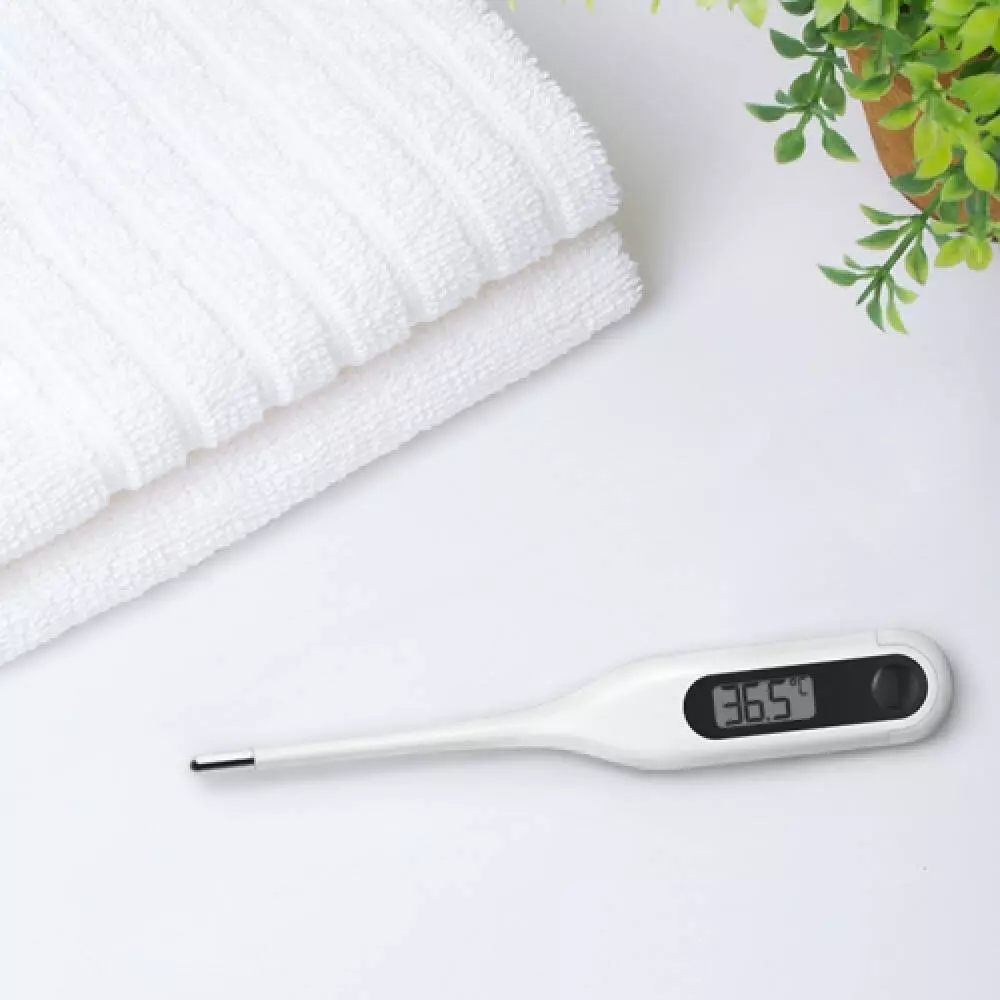 Электронный термометр Xiaomi MiaoMiaoce (MMC-W201) White (Белый) Электронный термометр Xiaomi MiaoMiaoce (MMC-W201) White (Белый)