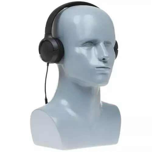 Беспроводные наушники JBL Tune 500 Black (Черный) Global Version