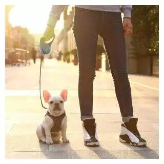 Поводок светящийся для собак Xiaomi PetKit Pet Leash Go Shine (с фонариком) White (Белый) Поводок светящийся для собак Xiaomi PetKit Pet Leash Go Shine (с фонариком) White (Белый)