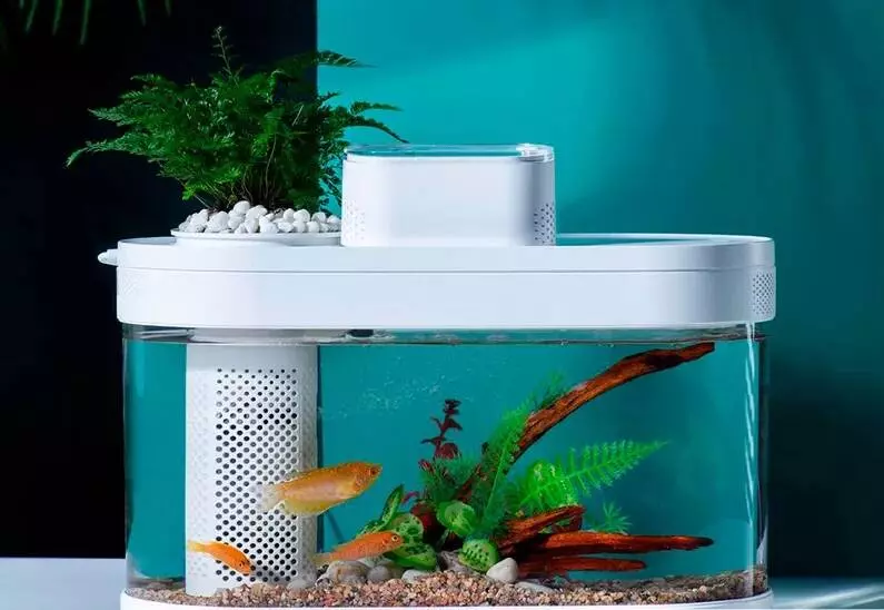 Аквариум Xiaomi Descriptive Geometry C180 Smart Fish Tank PRO (HF-JHYG007) White (Белый) Аквариум Xiaomi Descriptive Geometry C180 Smart Fish Tank PRO (HF-JHYG007) White (Белый)