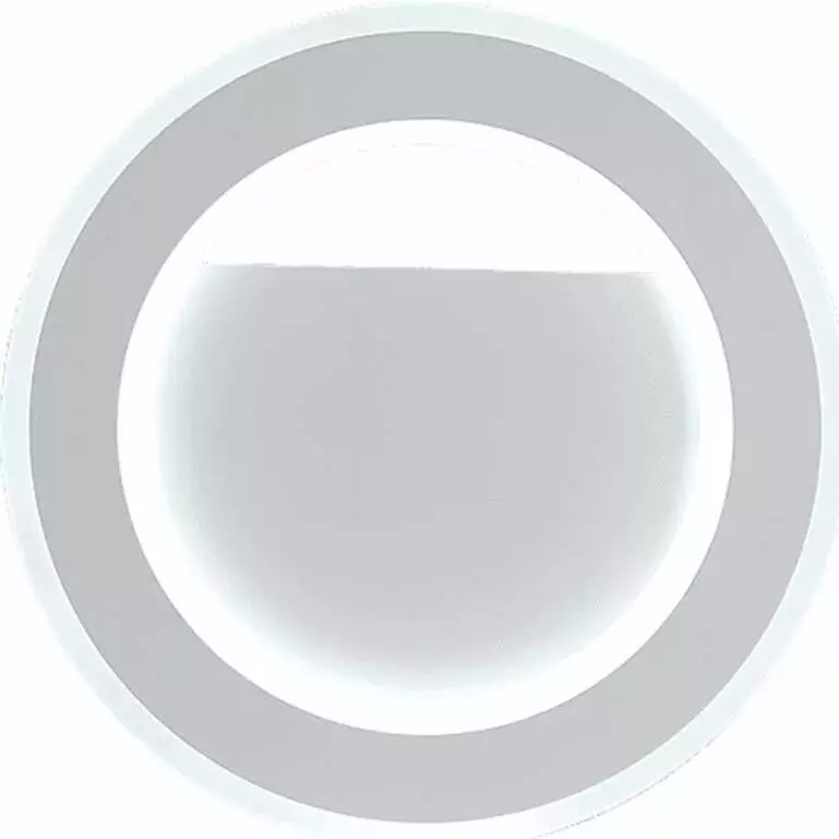 Потолочная лампа Xiaomi Huizuo Taurus Smart Nordic Ceiling Lamp 32W (300 mm) White (Белый)