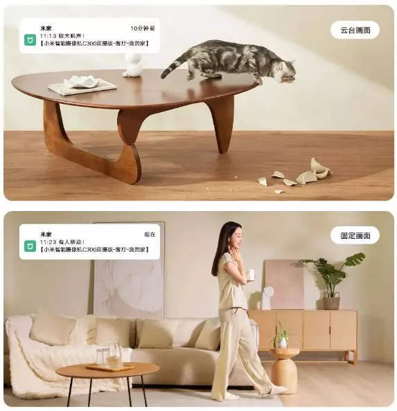 IP камера Xiaomi Mijia Smart С300 (две камеры) - фото 6 IP камера Xiaomi Mijia Smart С300 (две камеры) - фото 6