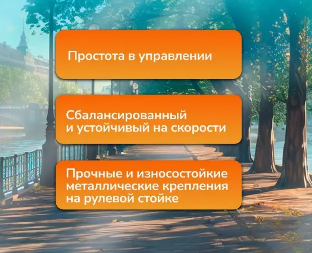 Электросамокат Kugoo A2 - фото 10