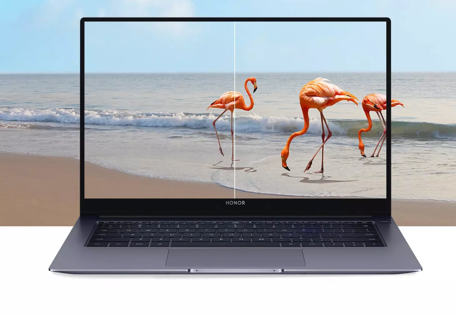 Ноутбук Honor X14 2024 R5-7640HS 16GB/512GB (5301AJWP) - фото 2 Ноутбук Honor X14 2024 R5-7640HS 16GB/512GB (5301AJWP) - фото 2