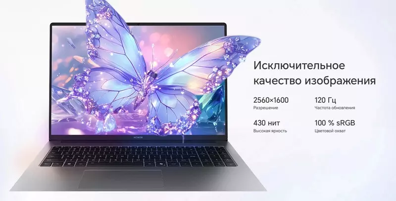 Ноутбук Honor MagicBook X16 Plus 2025 Core 5 220H 16/1T 2.5K 120YZ (5301ALYM) - фото 3