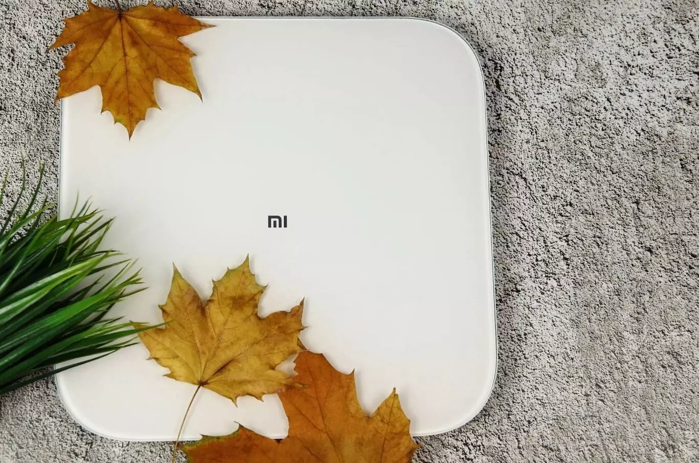 Весы электронные Xiaomi Smart Scale 2 (XMTZC04HM) - фото 6 Весы электронные Xiaomi Smart Scale 2 (XMTZC04HM) - фото 6