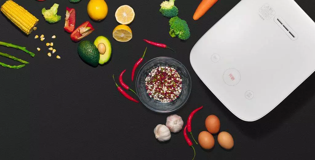 Мультиварка Xiaomi Induction Heating Rice Cooker 2 4L - фото 5 Мультиварка Xiaomi Induction Heating Rice Cooker 2 4L - фото 5