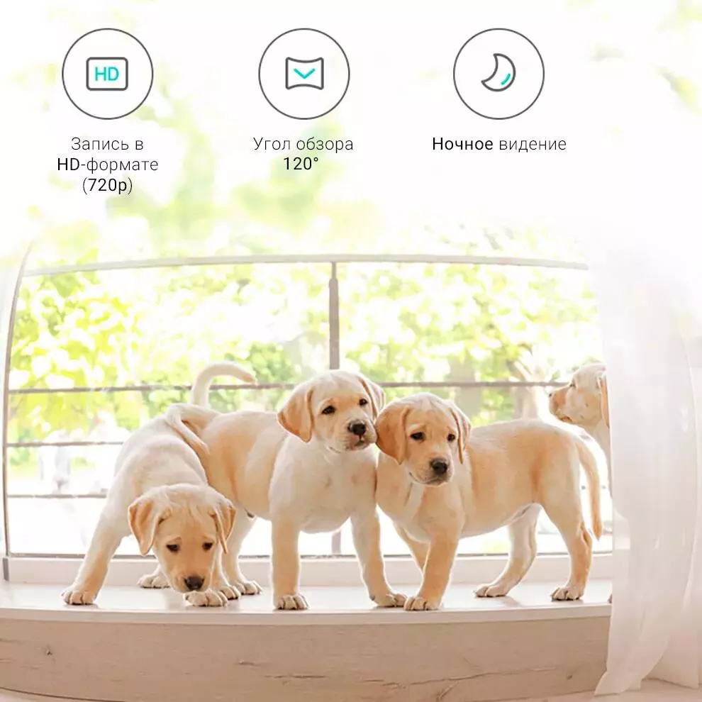 Автокормушка для животных Petoneer Nutri Vision Feeder с Wi-Fi и камерой 3.7 л (FDW020) - фото 3 Автокормушка для животных Petoneer Nutri Vision Feeder с Wi-Fi и камерой 3.7 л (FDW020) - фото 3