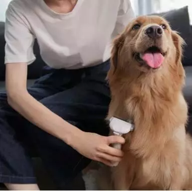 Триммер-расческа для животных Xiaomi Pawbby MG-PCO001 - фото 10 Триммер-расческа для животных Xiaomi Pawbby MG-PCO001 - фото 10
