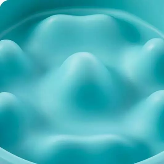 Миска для животных Xiaomi Jordan Judy Pet Slow Bowl (PE017) - фото 9 Миска для животных Xiaomi Jordan Judy Pet Slow Bowl (PE017) - фото 9