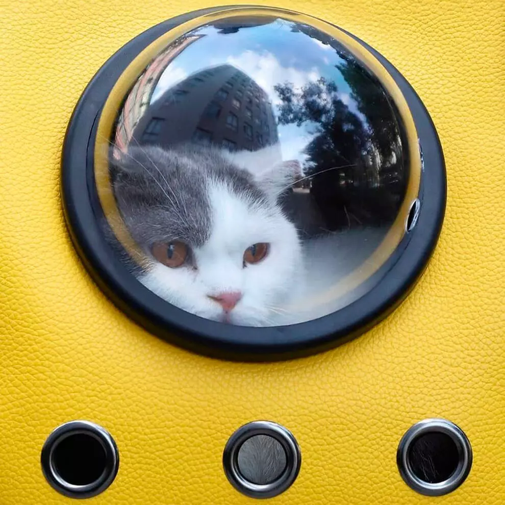 Рюкзак-переноска для животных Xiaomi Little Beast Star Pet Bag (XN11-5001) - фото 2