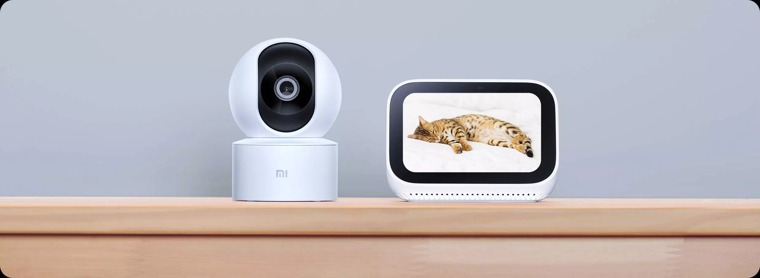 IP камера Xiaomi Home Security Camera 360° 1080P (MJSXJ10CM) - фото 5 IP камера Xiaomi Home Security Camera 360° 1080P (MJSXJ10CM) - фото 5