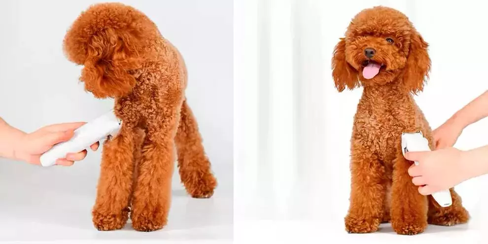 Триммер для животных Xiaomi Pawbby Pet Shaver (MG-HC001) - фото 2 Триммер для животных Xiaomi Pawbby Pet Shaver (MG-HC001) - фото 2