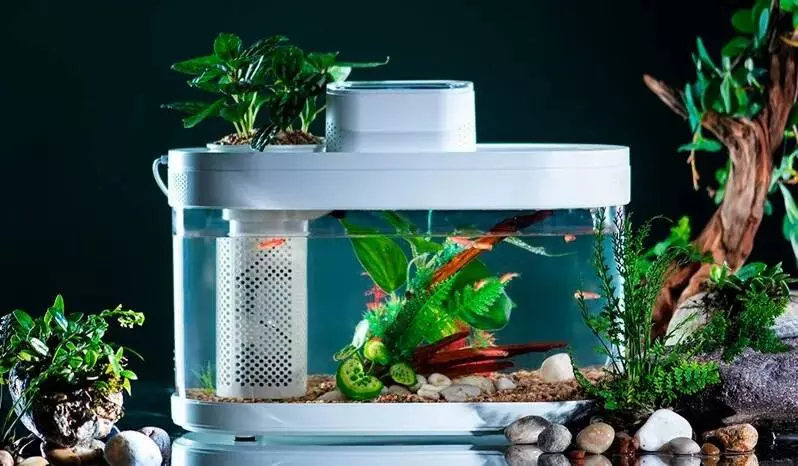 Аквариум Xiaomi Descriptive Geometry C180 Smart Fish Tank PRO (HF-JHYG007) - фото 9 Аквариум Xiaomi Descriptive Geometry C180 Smart Fish Tank PRO (HF-JHYG007) - фото 9
