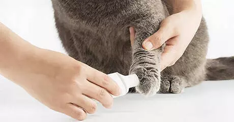 Триммер для когтей животных Xiaomi Pawbby Nail Sharpener MG-NG001 - фото 5 Триммер для когтей животных Xiaomi Pawbby Nail Sharpener MG-NG001 - фото 5