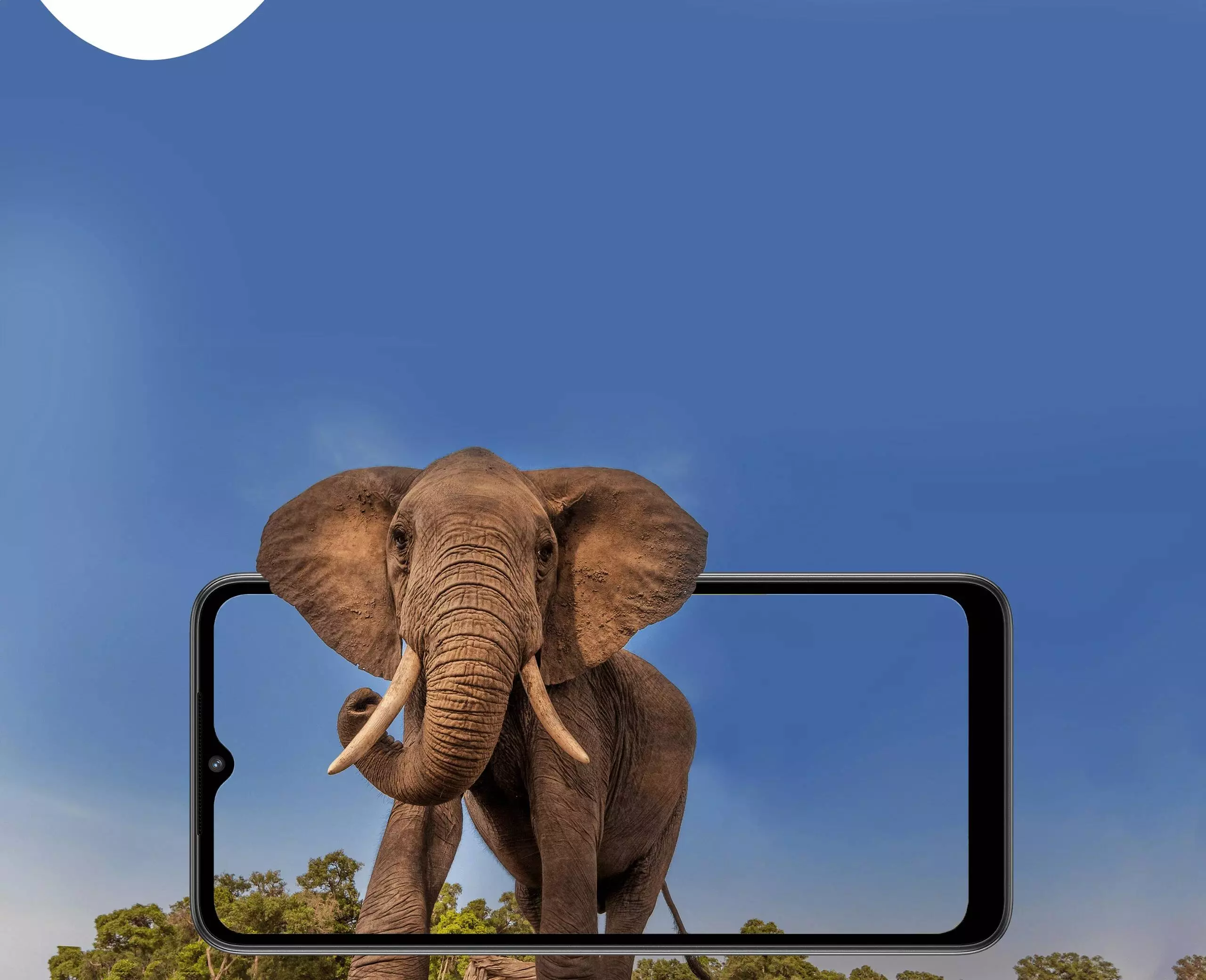 Xiaomi Redmi A1 2/32GB - фото 4