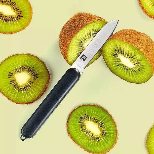 Купить Нож для фруктов HuoHou Folding Fruit Knife Black (HU0103) - фото 1