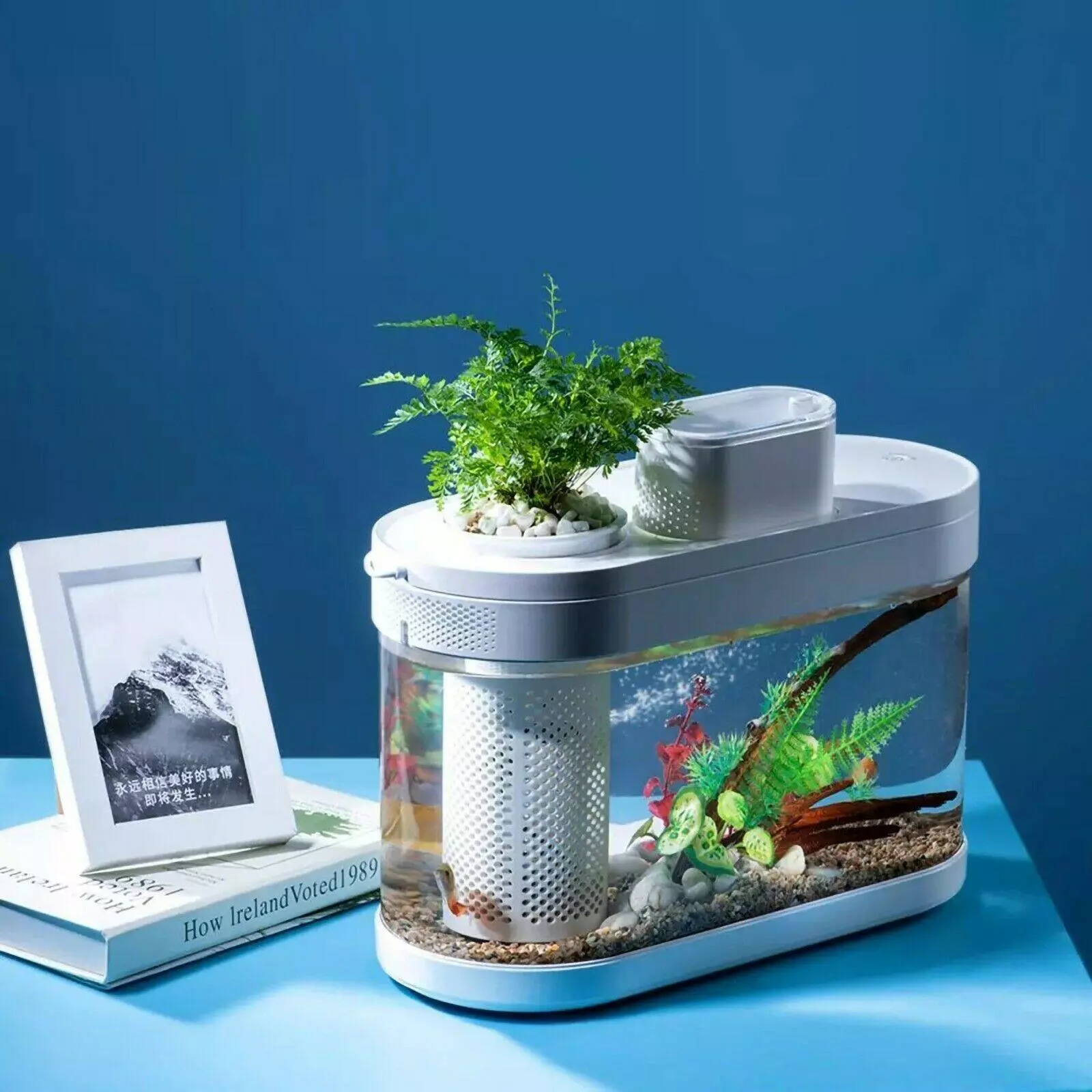 Купить Аквариум Xiaomi Descriptive Geometry C180 Smart Fish Tank Pro Standart Set (HF-JH20201001) - фото 1 Купить Аквариум Xiaomi Descriptive Geometry C180 Smart Fish Tank Pro Standart Set (HF-JH20201001) - фото 1