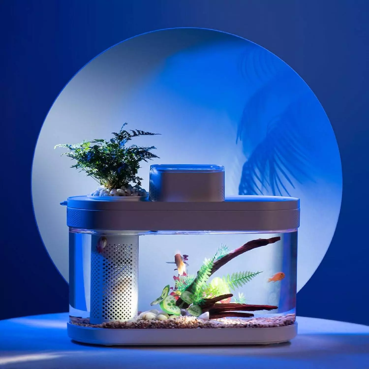 Аквариум Xiaomi Descriptive Geometry C180 Smart Fish Tank Pro Standart Set (HF-JH20201001) - фото 5 Аквариум Xiaomi Descriptive Geometry C180 Smart Fish Tank Pro Standart Set (HF-JH20201001) - фото 5