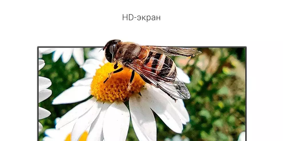 Телевизор Xiaomi TV P1 32 (L32M6-6ARG) - фото 3 Телевизор Xiaomi TV P1 32 (L32M6-6ARG) - фото 3
