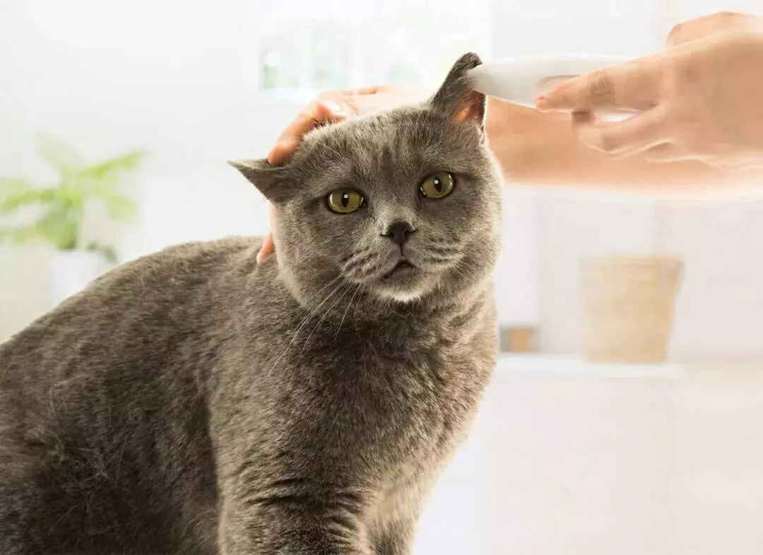 Триммер для животных Xiaomi Pawbby Pet Small Area Clippers - фото 4